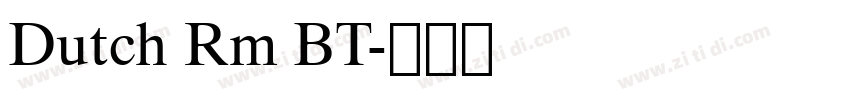 Dutch Rm BT字体转换
